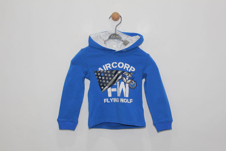 Picture of BI020 BOYS HIGH QUALITY MATERIAL - HOODY COTTON